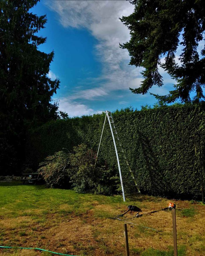 Gallery | ArborGreen Tree Care