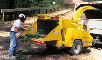 tree removal in Chilliwack